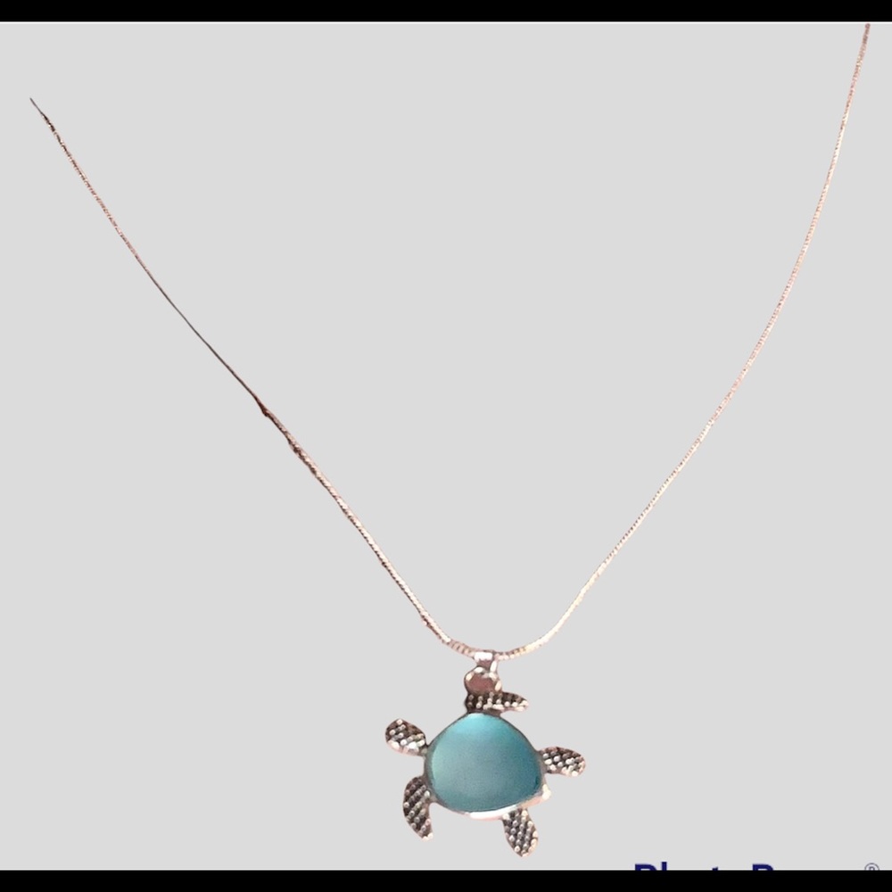 Sea turtle necklace, love turtles this is so adorable